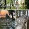 images/Sjovillan/sjovillan-omslag.jpg
