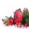 images/julbordsbilder/Christmas_Ornament.jpg